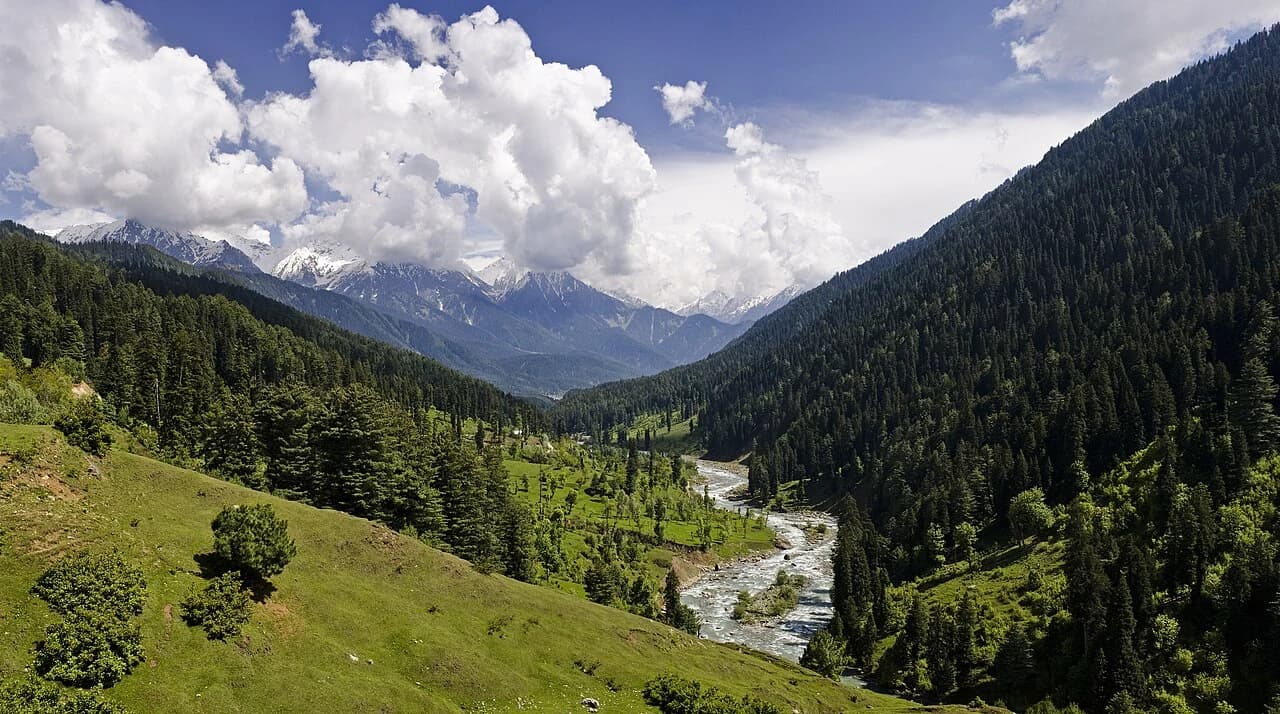 The river winding through forested mountains in Pahalgam