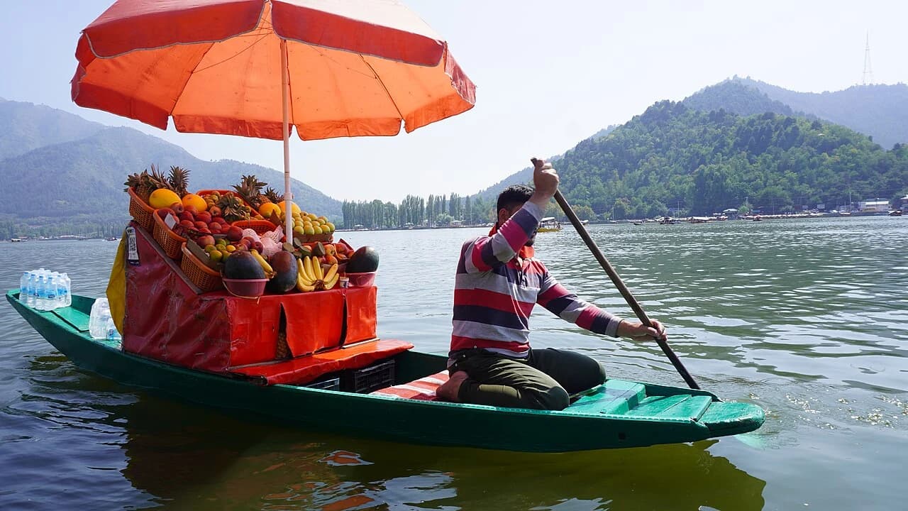 A fruit seller rowing a shikara on Dal Lake