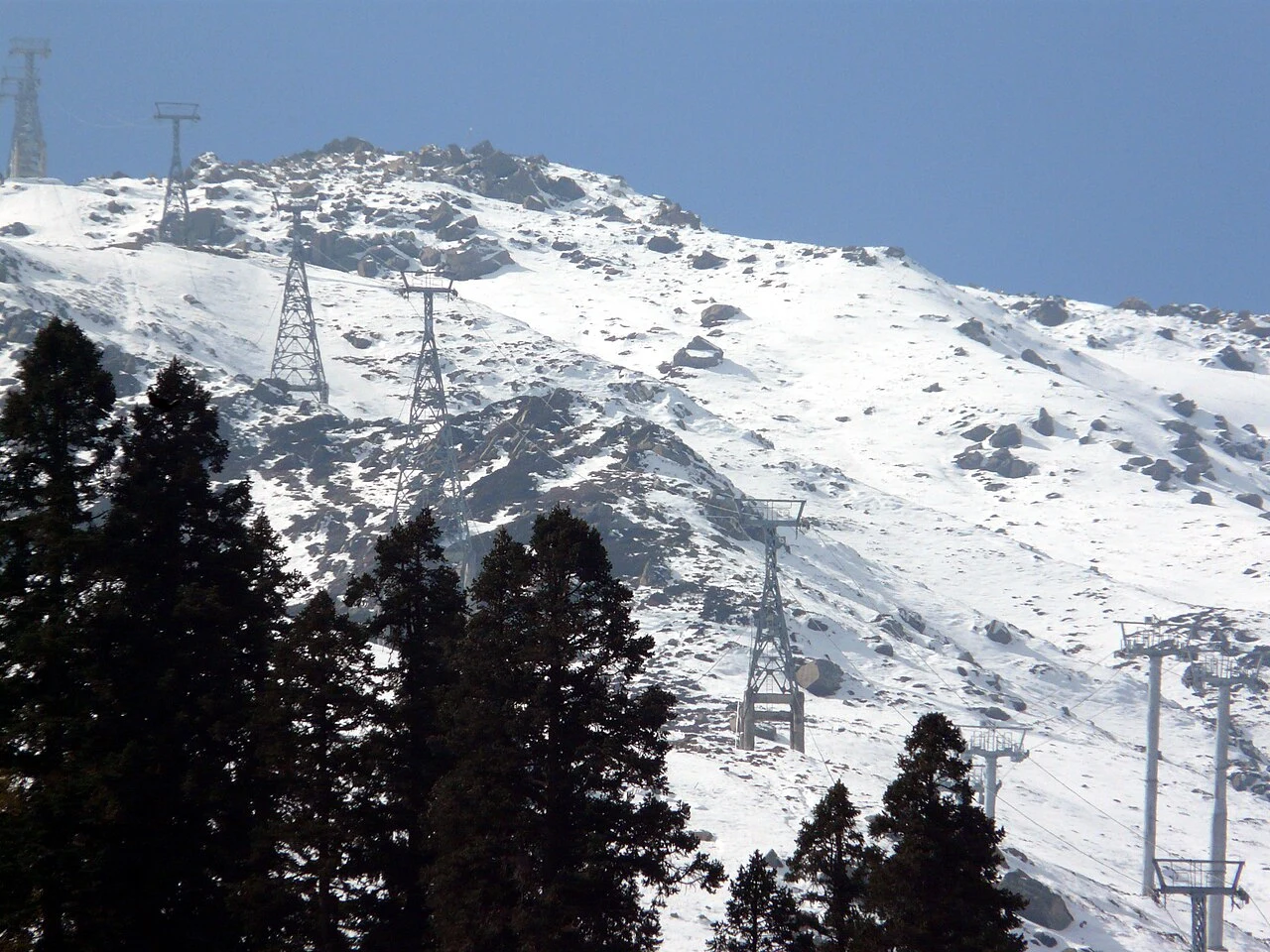 Gondola above the pines