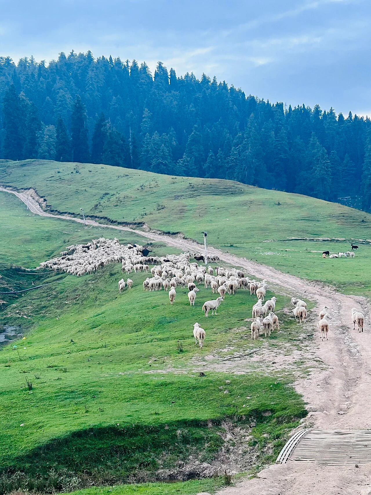 Gulmarg