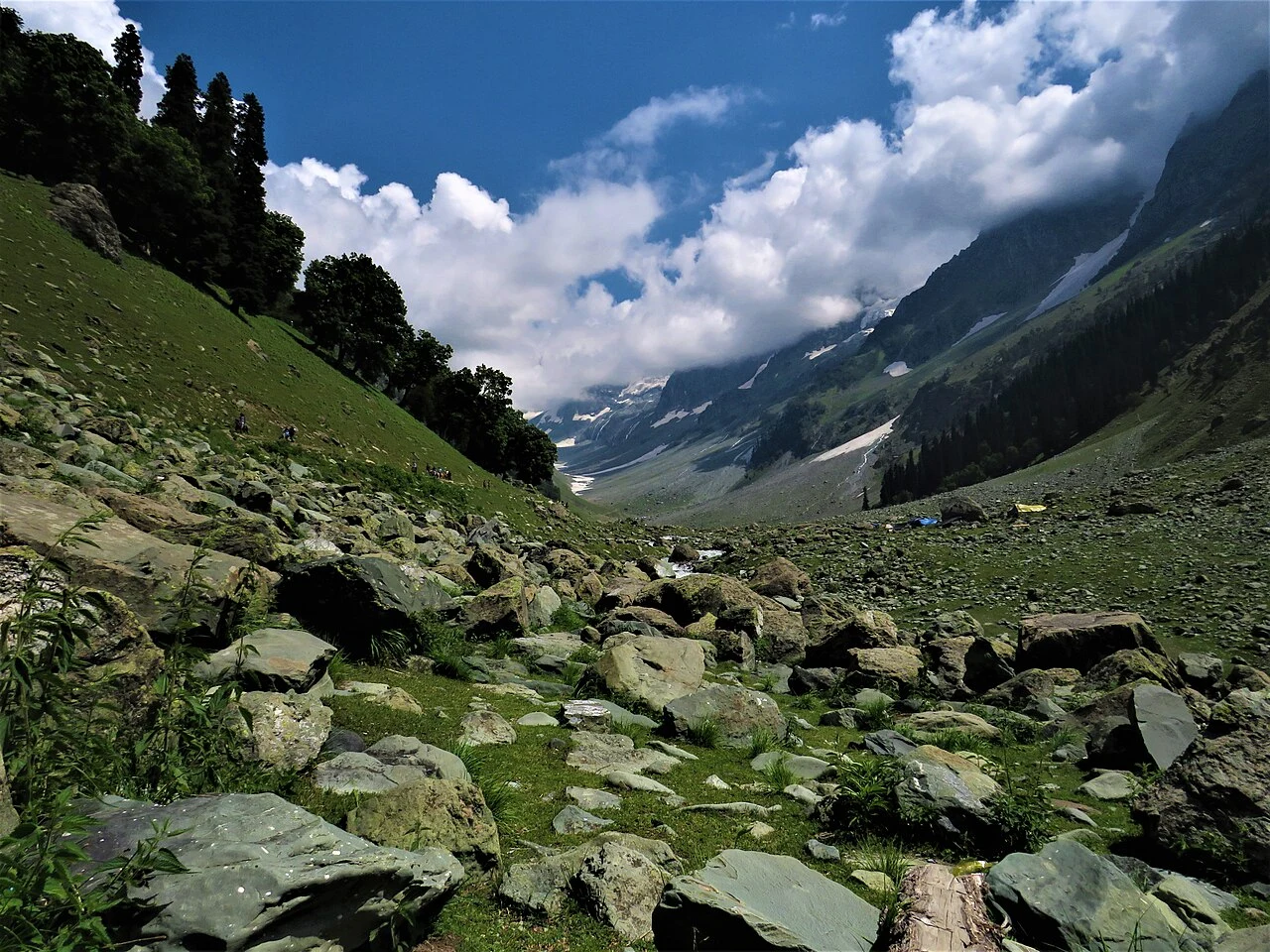 Kashmir Deluxe with Sonamarg