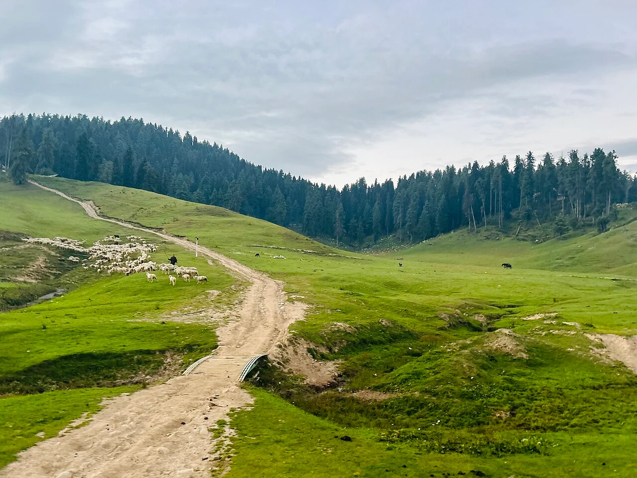 The Extended Kashmir Journey