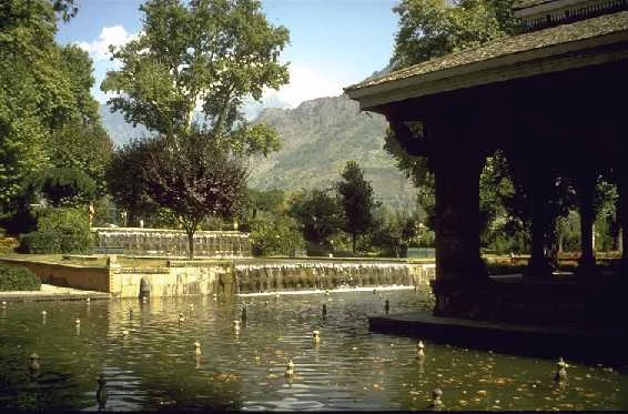 The Kashmir Week